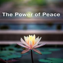 The Power of Peace. Exotic Sounds That Soothes You - Exotic Power Maker