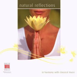 Bartholdy, Debussy, Brahms, Beethoven, Mozart, Tschaikowsky, Chopin, Prokofjew, Ravel, Albeniz: Natural Reflections - Bläsersolisten der Deutschen Kammerphilharmonie