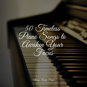 Comforting Sounds | Focused and Calm Work and Study - Study Music And Piano Music