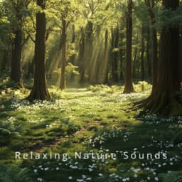 Nature's Embrace: Relaxation Through Sound - Relaxing Nature Sounds