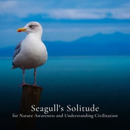 * Seagull's Solitude for Nature Awareness and Understanding Civilization * - Calm Singing Birds Zone