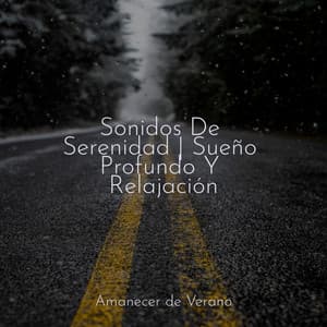 Sonidos De Serenidad | Sueño Profundo Y Relajación - Relajacion Del Mar