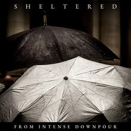 Sheltered from Intense Downpour - Rain Sounds HD