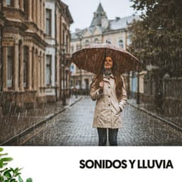 Sonidos y Lluvia: Para el alma - Relajacion