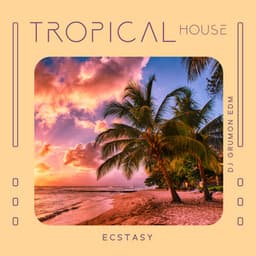 Tropical House Ecstasy - DJ Grumon EDM