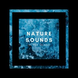 Nature Sounds of the Ocean - Ocean Waves