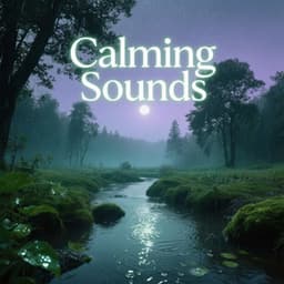 A Soft Wind Carries the Last Thought - Calm Buda