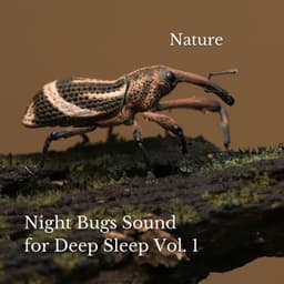 Nature: Night Bugs Sound for Deep Sleep Vol. 1 - The Deep Sleep Music Academy