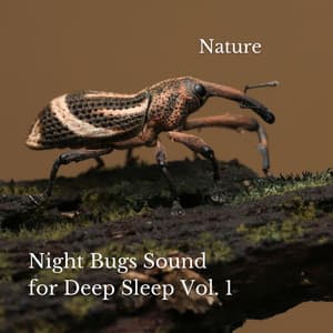 Nature: Night Bugs Sound for Deep Sleep Vol. 1 - The Deep Sleep Music Academy