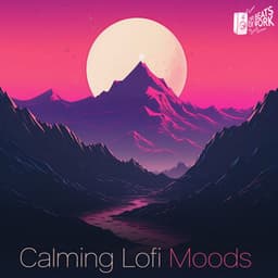 Calming Lofi Moods - Lofi Beats for Work