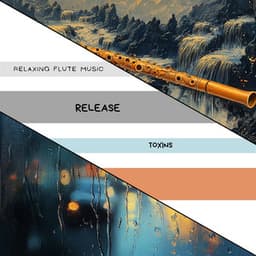 Release Toxins - Relaxing Flute Music