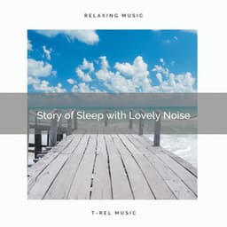 Story of Sleep with Lovely Noise - Deep Sleep Noises