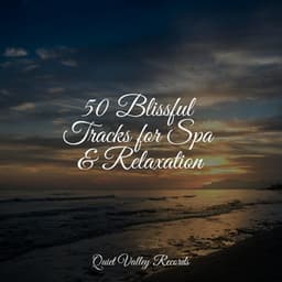 50 Blissful Tracks for Spa & Relaxation - Thunder Storm