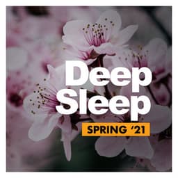Deep Sleep - Rain Recordings