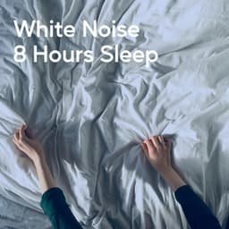 White Noise 8 Hours Sleep - White Noise Hour