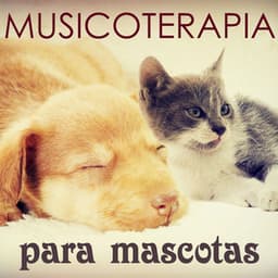 Musicoterapia Mascotas - Musica para Dormir para Perros, Gatos y Todos Animales - Fuerza Positiva