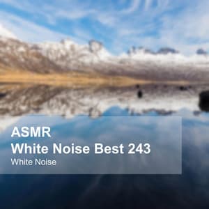 White Noise ASMR Best 243 - White Noise