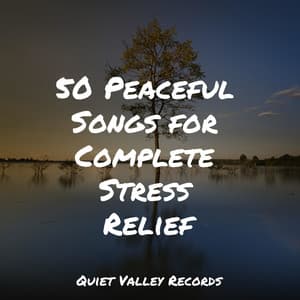 50 Peaceful Songs for Complete Stress Relief - Ambient Nature project