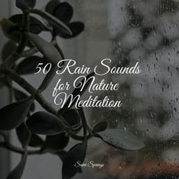 50 Rain Sounds for Nature Meditation - Sol y Lluvia