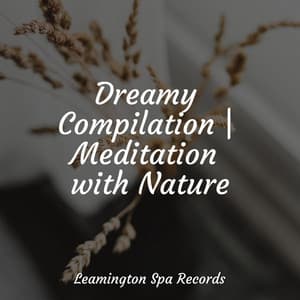 Dreamy Compilation | Meditation with Nature - Pacific Rim Nature Sounds