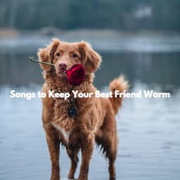 Songs to Keep Your Best Friend Warm - Musica Rilassante & Benessere