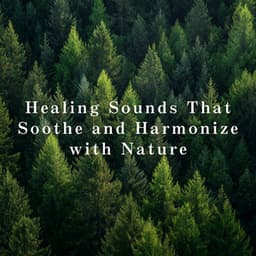 Healing Sounds That Soothe and Harmonize with Nature - Relax α Wave