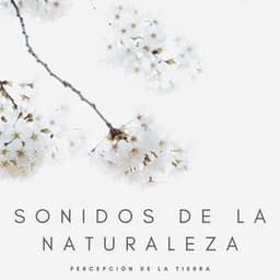 Sonidos De La Naturaleza: Percepción De La Tierra - Calma y Relajación