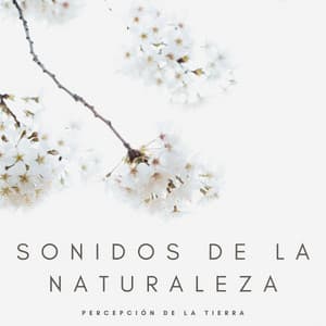 Sonidos De La Naturaleza: Percepción De La Tierra - Calma y Relajación
