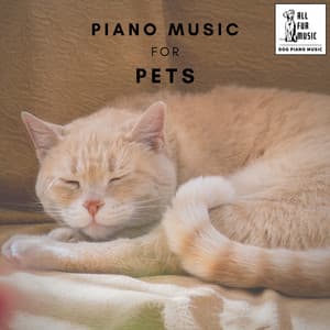 Piano Music for Pets - Jingle Cats