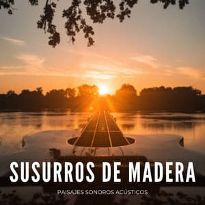 Susurros De Madera: Paisajes Sonoros Acústicos - Ruido de Colores Radio 1