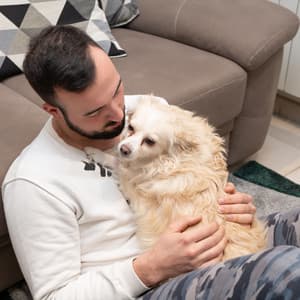 Binaural Rain Tranquility: Pet Comfort Harmony - Binaural Beat