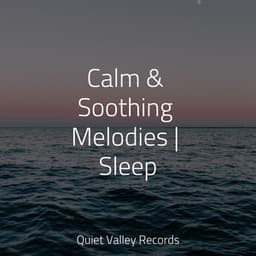 Calm & Soothing Melodies | Sleep - Ambient Arena