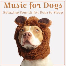 Music for Dogs - Relaxmydog