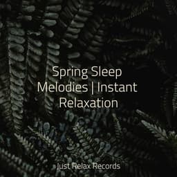 Spring Sleep Melodies | Instant Relaxation - Deep Sleep Meditation