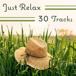 Just Relax: 30 Tracks, Experience Endless Relaxation with Nature Sounds, Relieve Stress, Anxiety & Overcome Depression - Self Improvement Consort