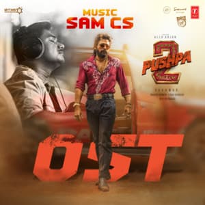 Pushpa 2 The Rule Ost - Sam C.S.