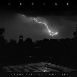 Serene Tranquility of a Grey Sky - Ambient Rain