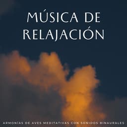 Música De Relajación: Armonías De Aves Meditativas Con Sonidos Binaurales - The Unexplainable Store