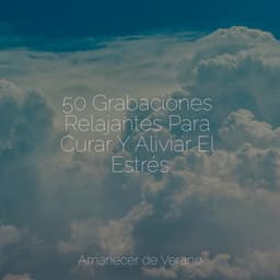 50 Grabaciones Relajantes Para Curar Y Aliviar El Estrés - Sonido de lluvia