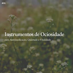 * Instrumentos de Ociosidade para Automedicação, Quietude e Vitalidade * - Relajante Academia de Música Zen