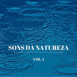 Sons Da Natureza: Sons Relaxantes Da Chuva Para Estudar Vol. 1 - #Calmante