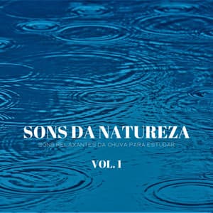 Sons Da Natureza: Sons Relaxantes Da Chuva Para Estudar Vol. 1 - #Calmante
