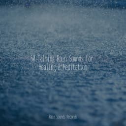 50 Calming Rain Sounds for Healing & Meditation - Ambient