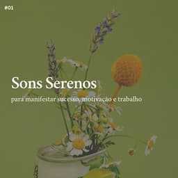 * Sons Serenos para manifestar sucesso, motivação e trabalho * - Ruído Ambiente