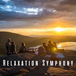 Relaxation Symphony: Harmonious Nature Sounds and Chill Vibes - Four Winds
