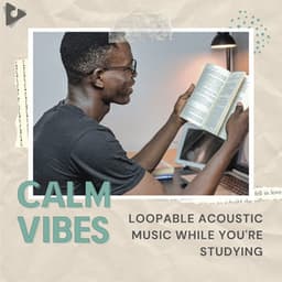 Loopable Acoustic Music While You're Studying - Calm Vibes
