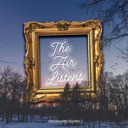 The Air Listens - Swedish-Bird-Sounds