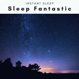 Sleep Fantastic - Natural Symphony