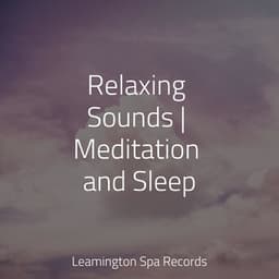 Relaxing Sounds | Meditation and Sleep - Nature Sounds for Relaxation and Sleep