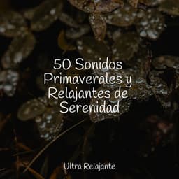 50 Sonidos Primaverales y Relajantes de Serenidad - Meditação Yoga